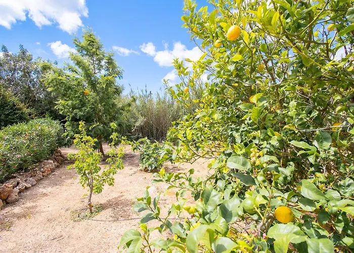 Casa Alegria - Perfect For Families * Lagoa (Algarve)