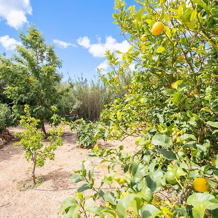 Casa Alegria - Perfect For Families * Lagoa (Algarve)